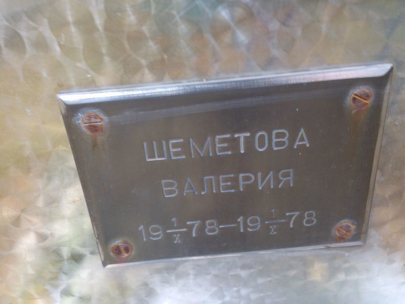 Шеметова Валерия