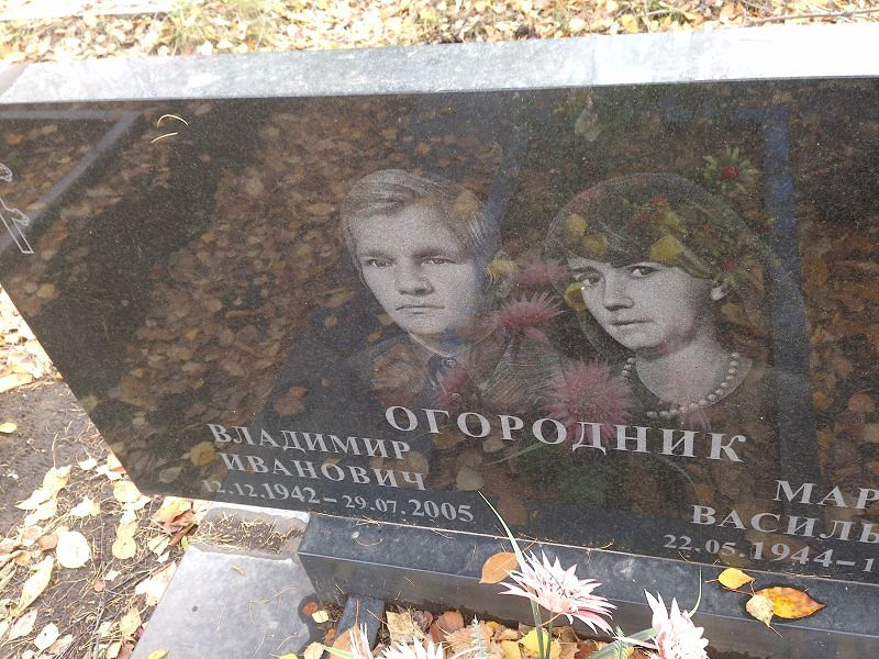 Огородник Владимир Иванович