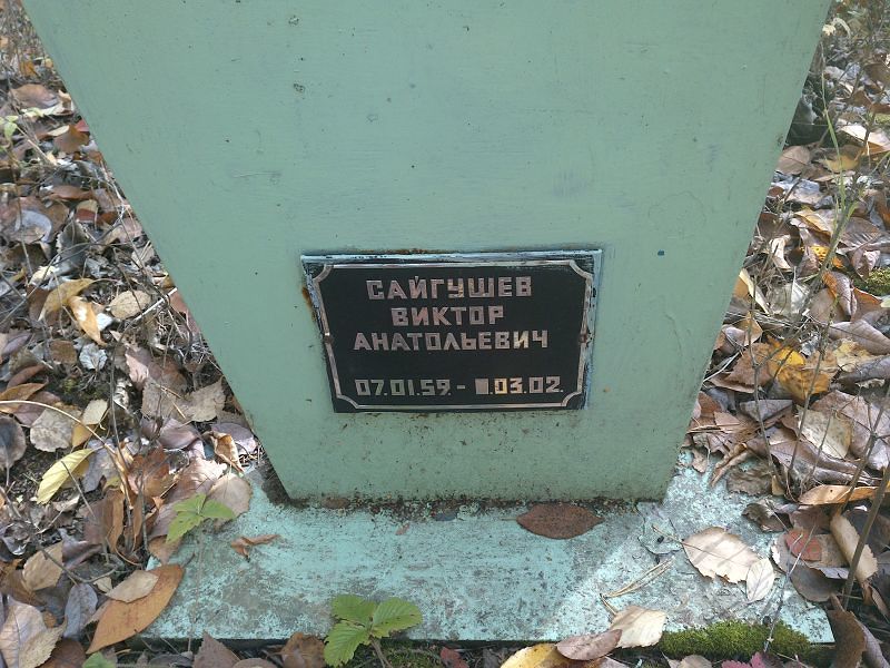 Сайгушев Виктор Анатольевич