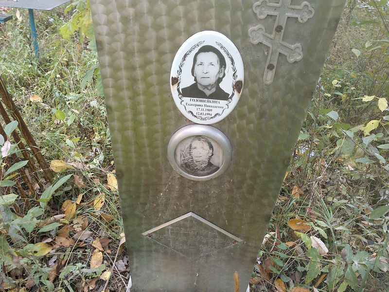 Голошейкина Екатерина Николаевна