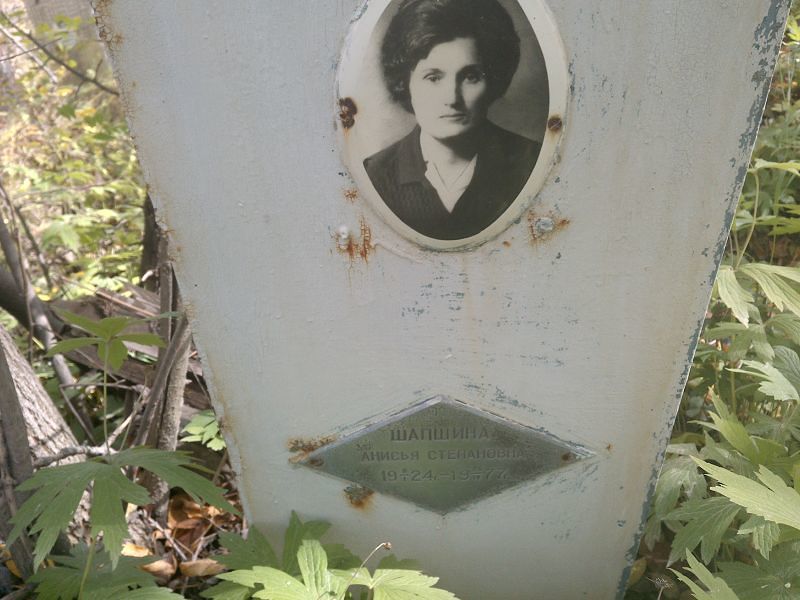Шапшина Анисья Степановна
