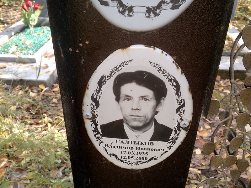 Салтыков Владимир Иванович