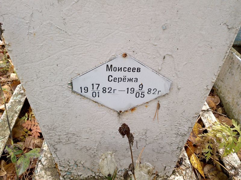 Моисеев Серёжа