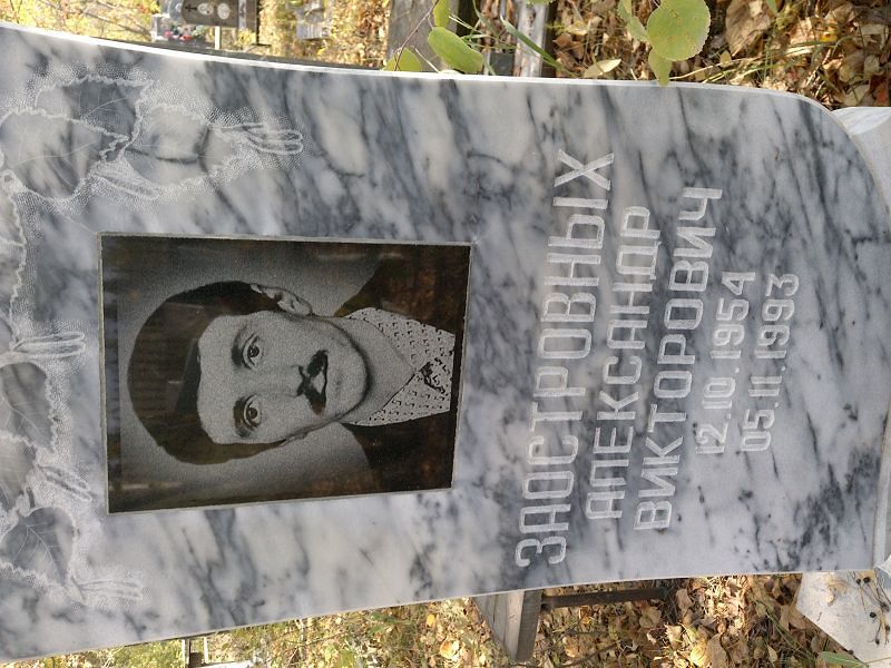 Заостровных Александр Викторович