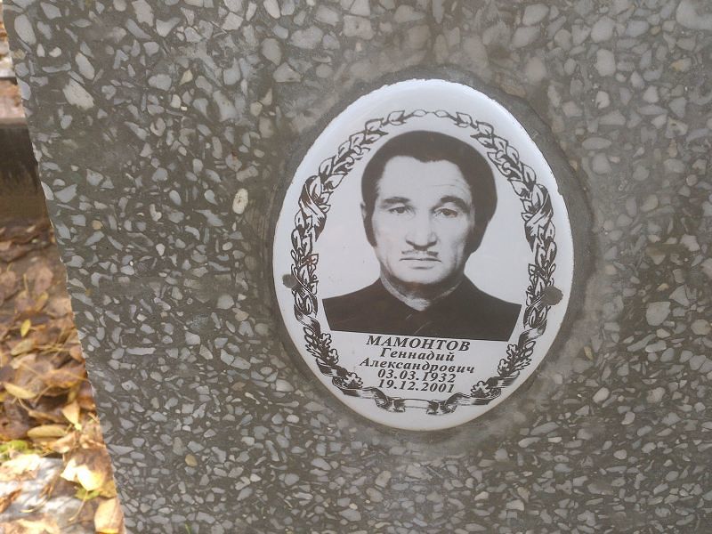 Мамонтов Геннадий Александрович