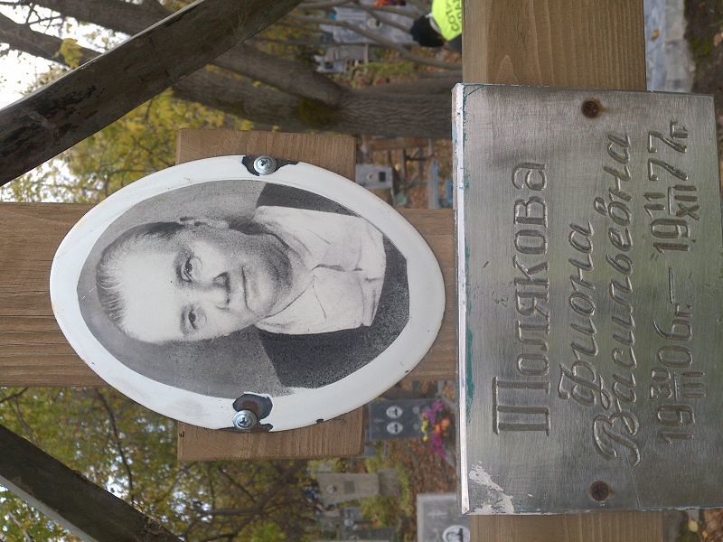Толякова Фиона Васильевна