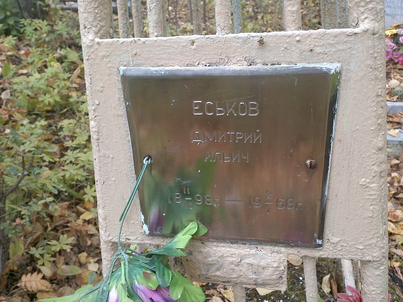 Еськов Дмитрий Ильич