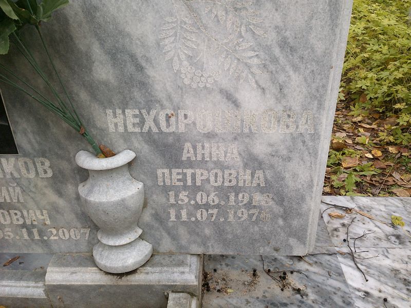 Нехорошкова Анна Петровна