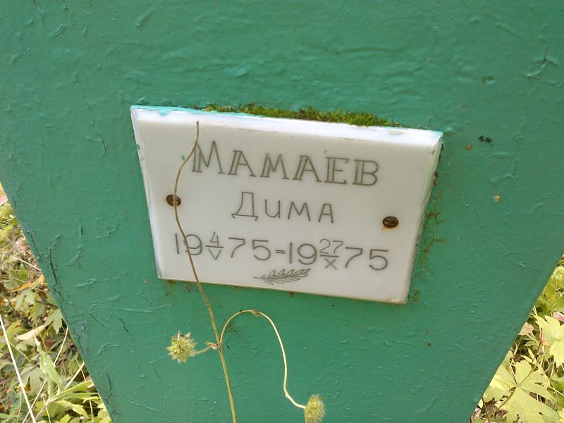 Мамаев Дмитрий