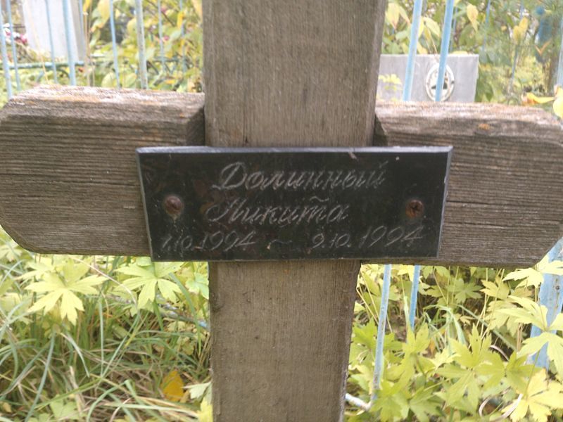 Долинный Никита