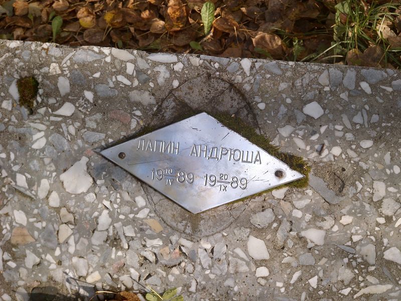 Лапин Андрюша