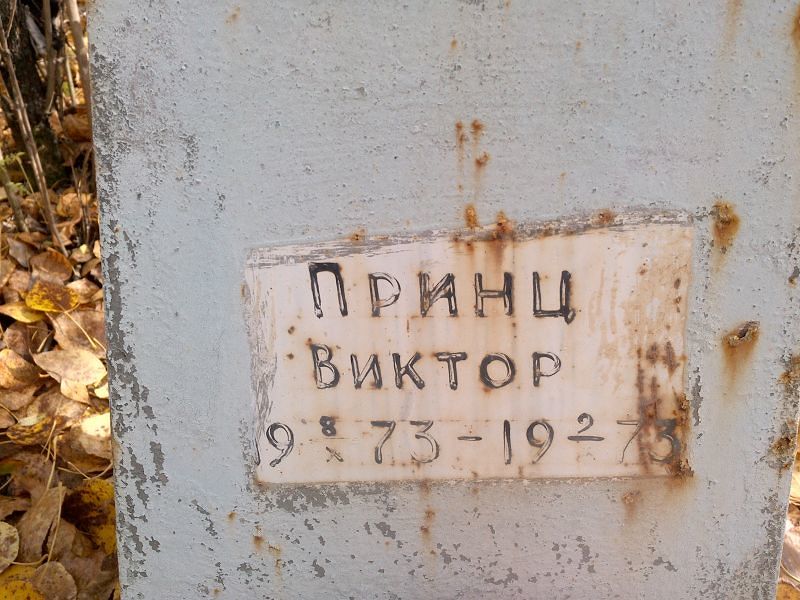 Принц Виктор