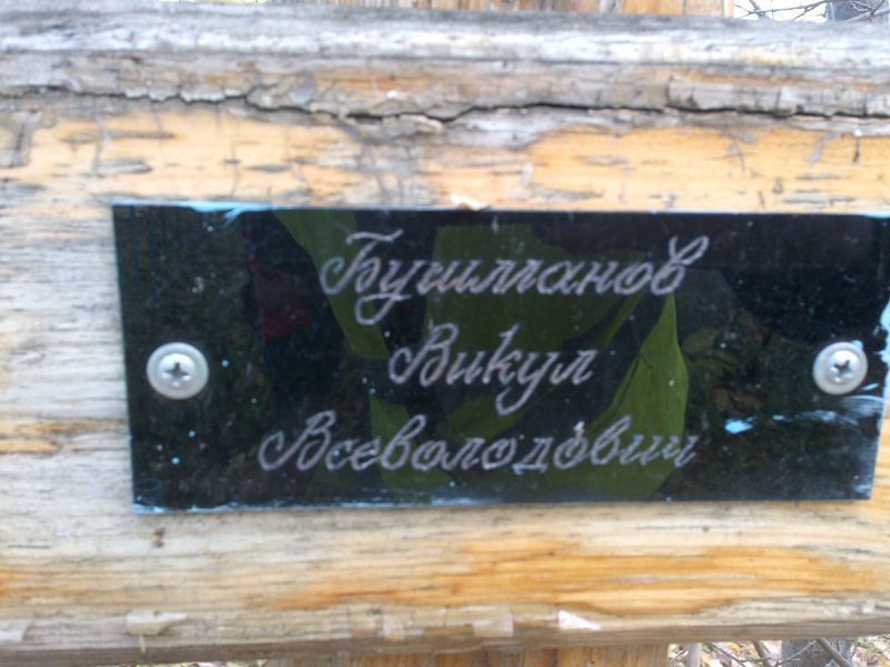 Бушманов Викул Всеволодович