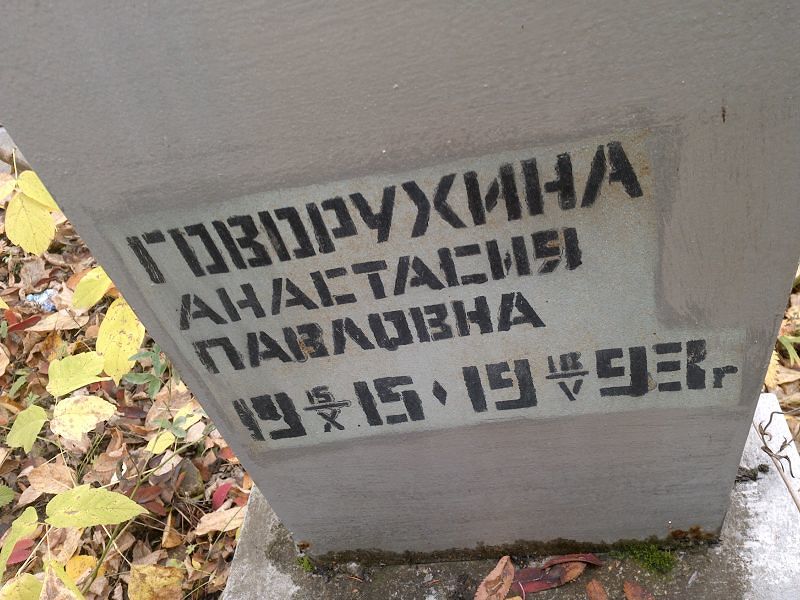 Говорухина Анастасия Павловна