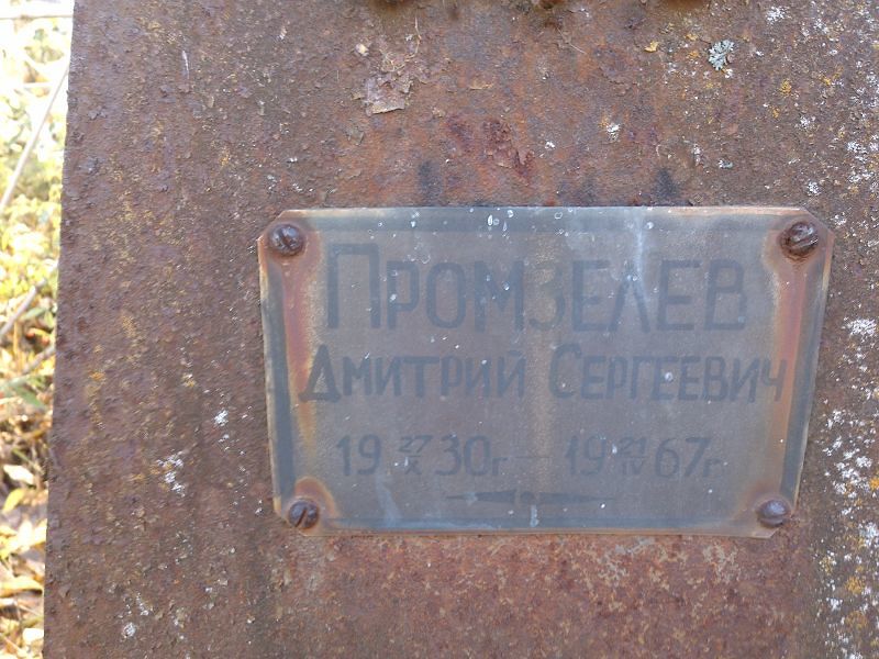 Промзелев Дмитрий Сергеевич