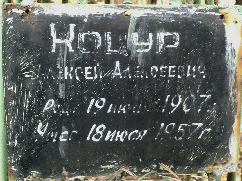 Коцур Алексей Алексеевич