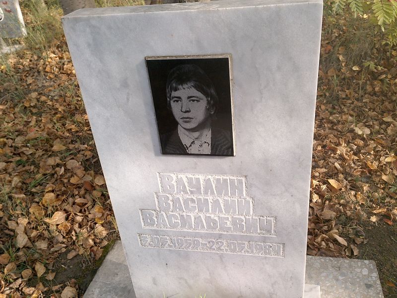 Ваулин Василий Васильевич