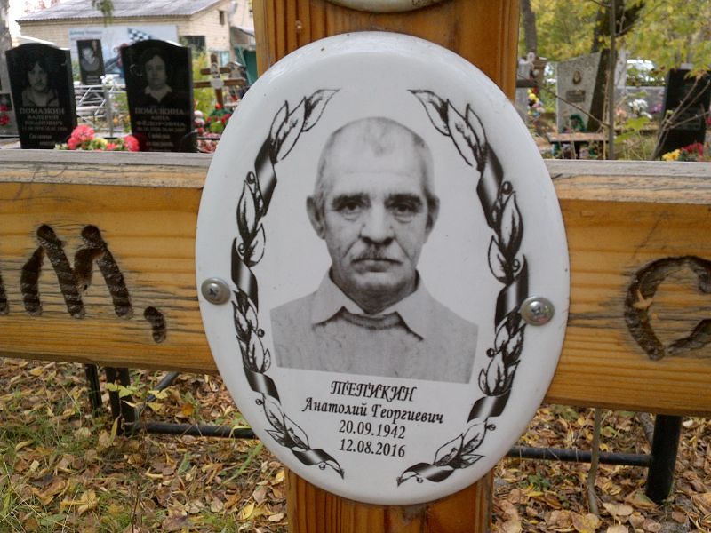 Тепикин Анатолий Георгиевич