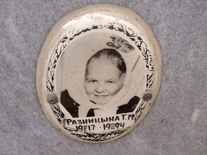Разницына Т М