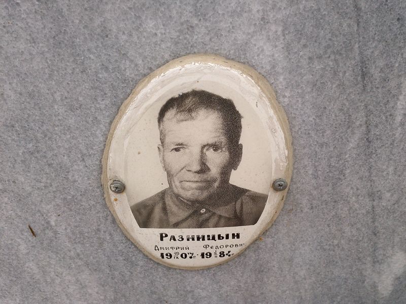 Разницын Дмитрий Федорович