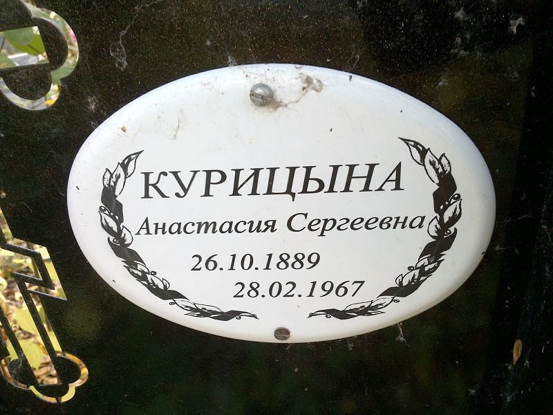 Курицына Анастасия Сергеевна