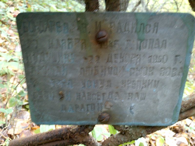 Вова