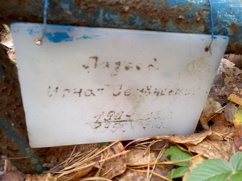 Лазеев Игнат Семёнович