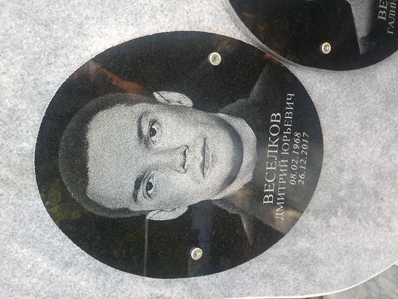 Веселков Дмитрий Юрьевич