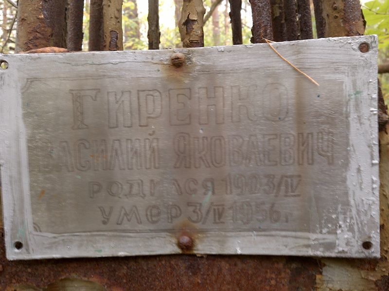 Гиренко Василий Яковлевич