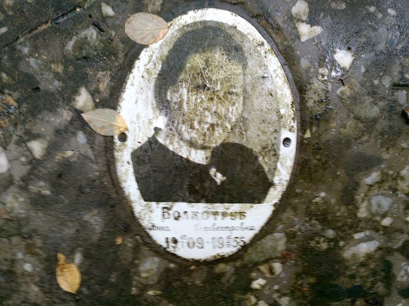 Волкотруб Анна Селивестровна