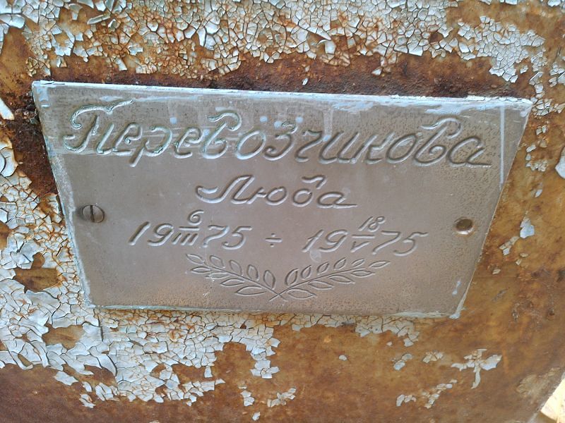 Перевозчикова Люба