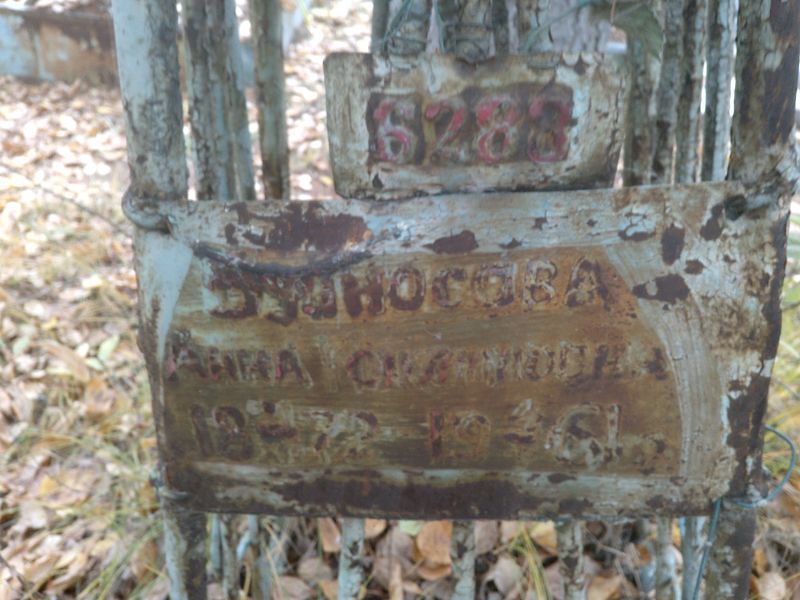 Буйносова Анна