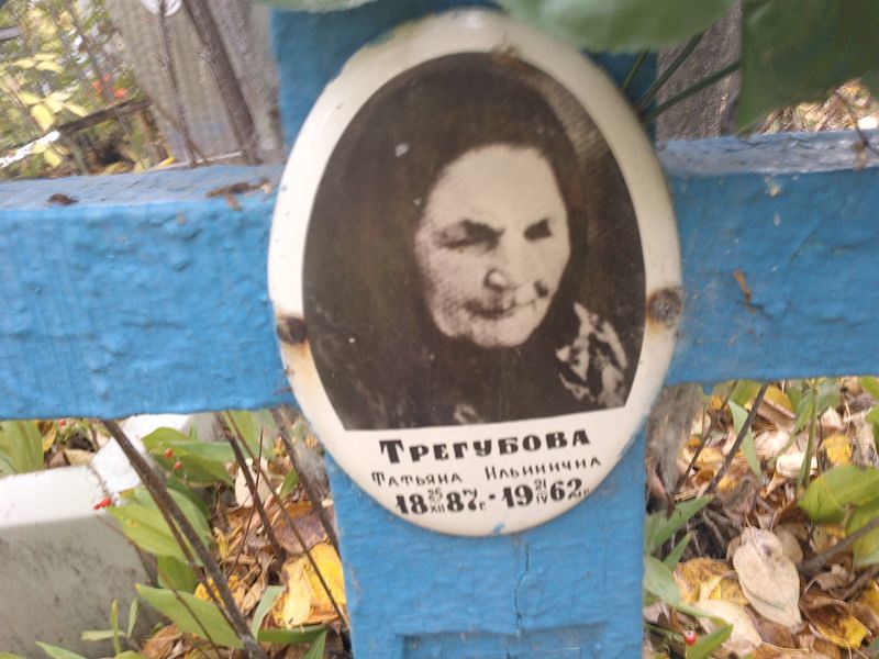 Трегубова Татьяна Ильинична