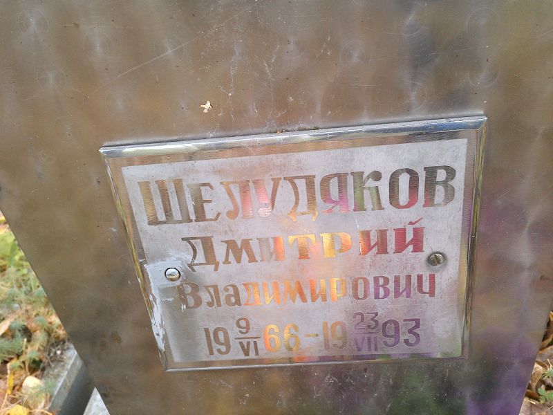 Шелудяков Дмитрий Владимирович