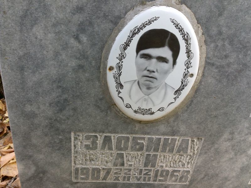 Злобина А И
