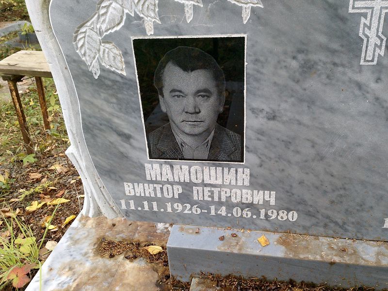 Мамошин Виктор Петрович