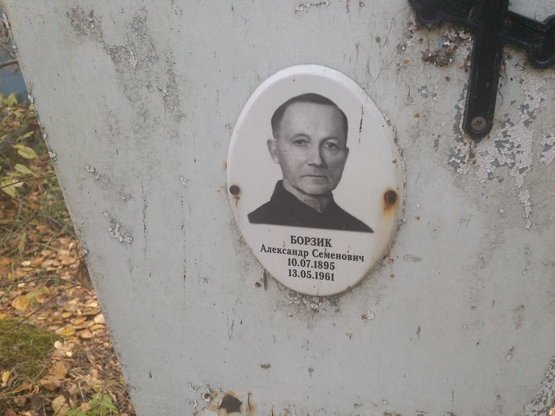 Борзик Александр Семенович