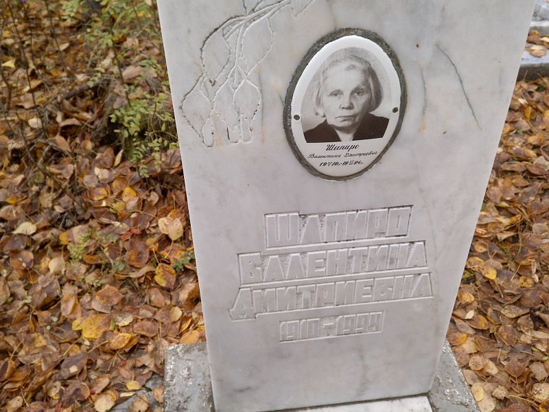 Шапиро Валентина Дмитриевна