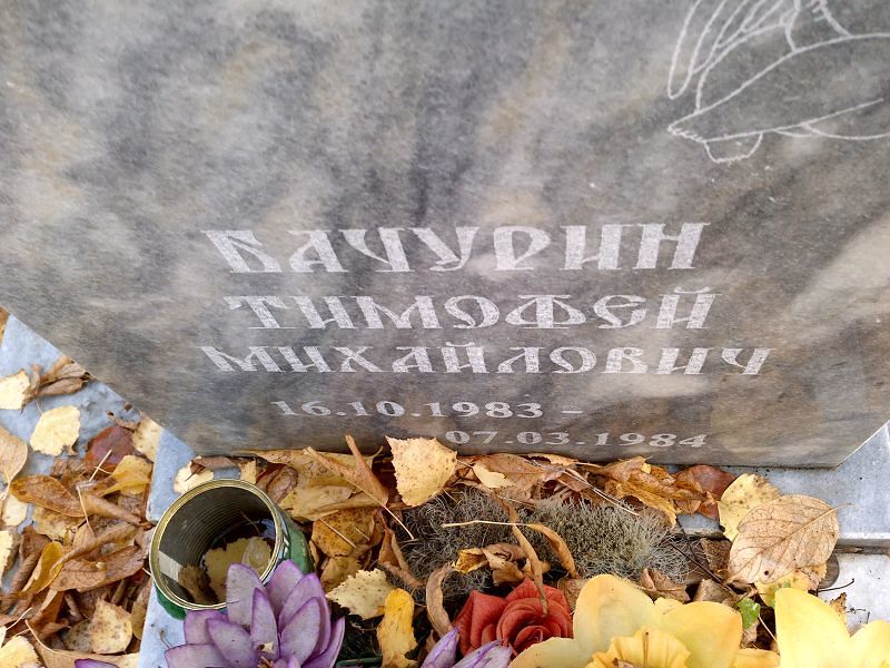 Бачурин Тимофей Михайлович