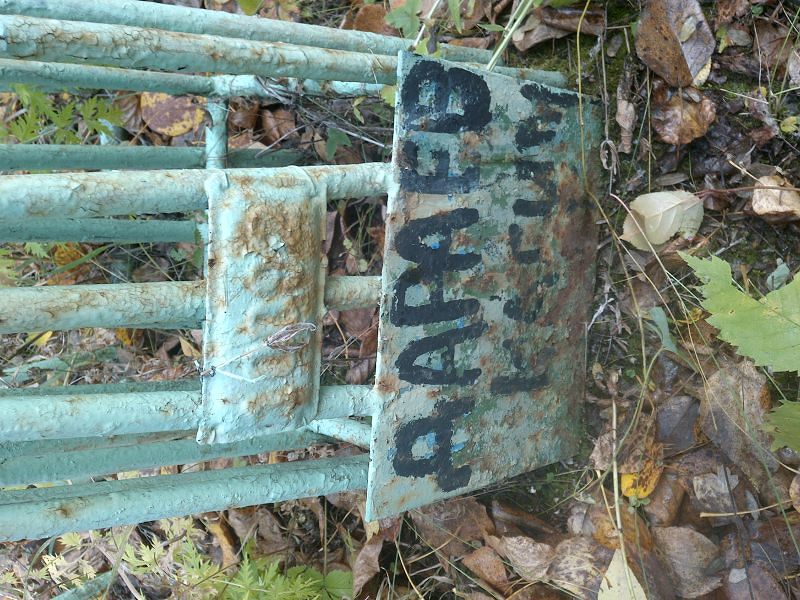 Дараев Нагим