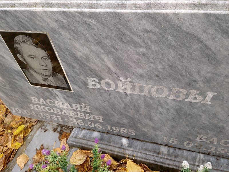 Бойцов Василий Яковлевич