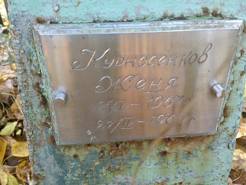 Курносёнков Женя
