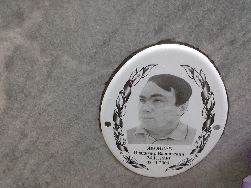 Яковлев Владимир Васильевич