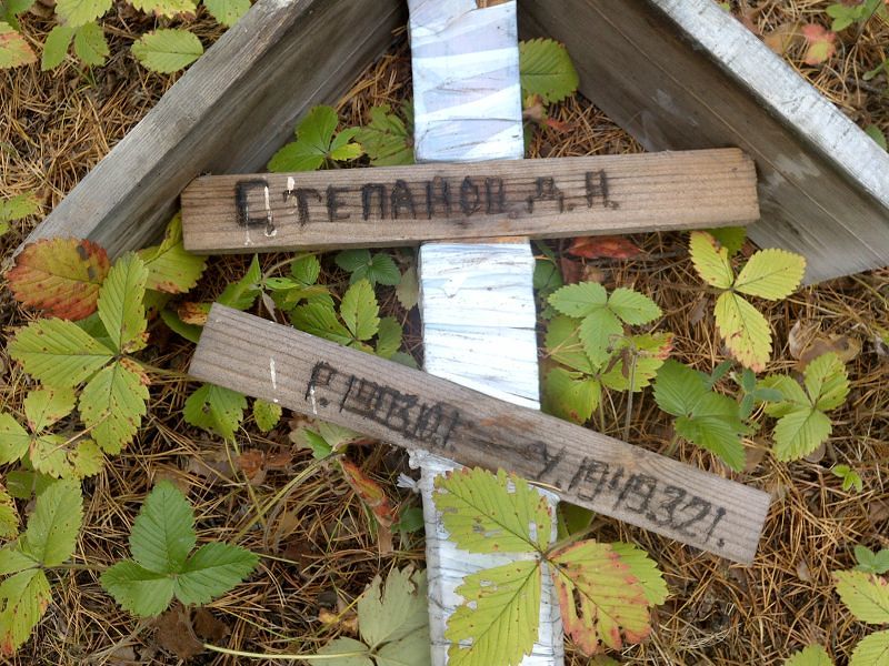 Степанова Д А
