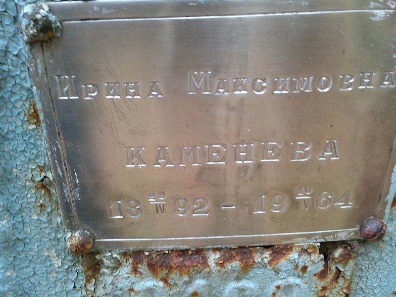 Каменева Ирина Максимовна