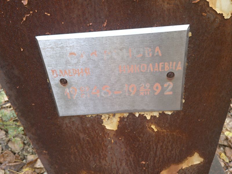 Сафронова Валерия Николаевна