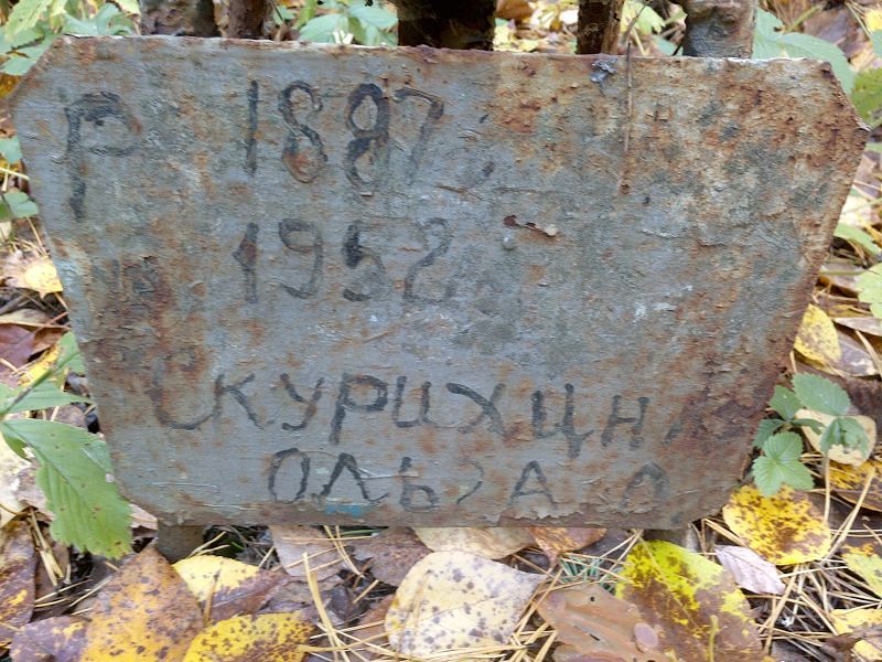 Скурихина Ольга О