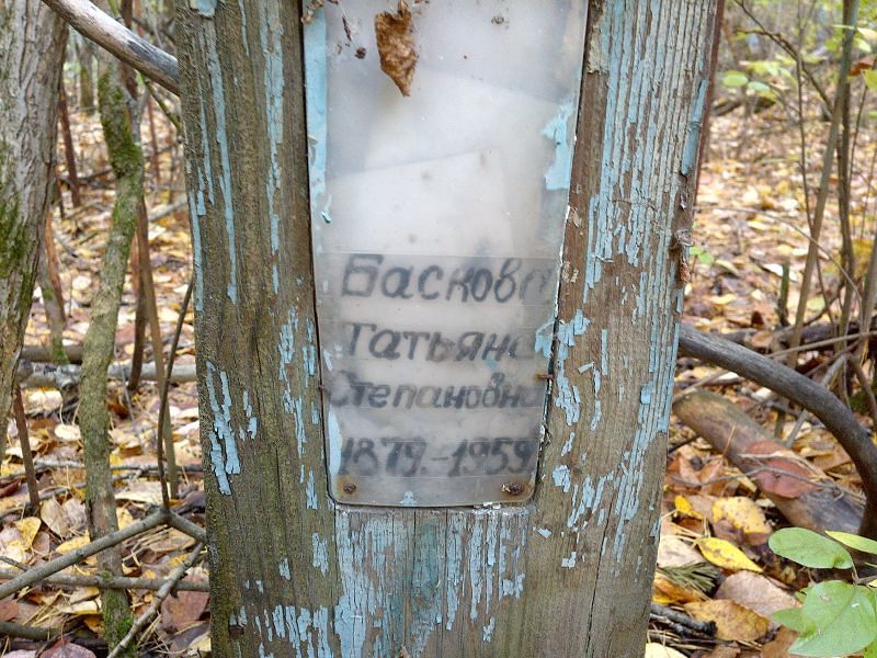 Баскова Татьяна Степановна