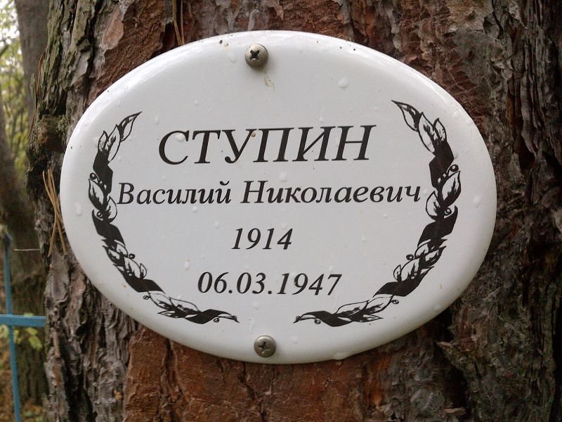 Ступин Василий Николаевич