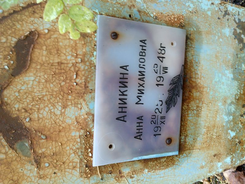 Аникина Анна Михайловна